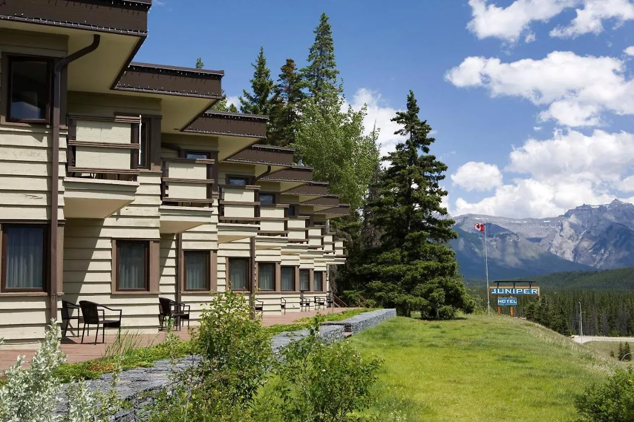 The Juniper Hotel & Bistro Banff