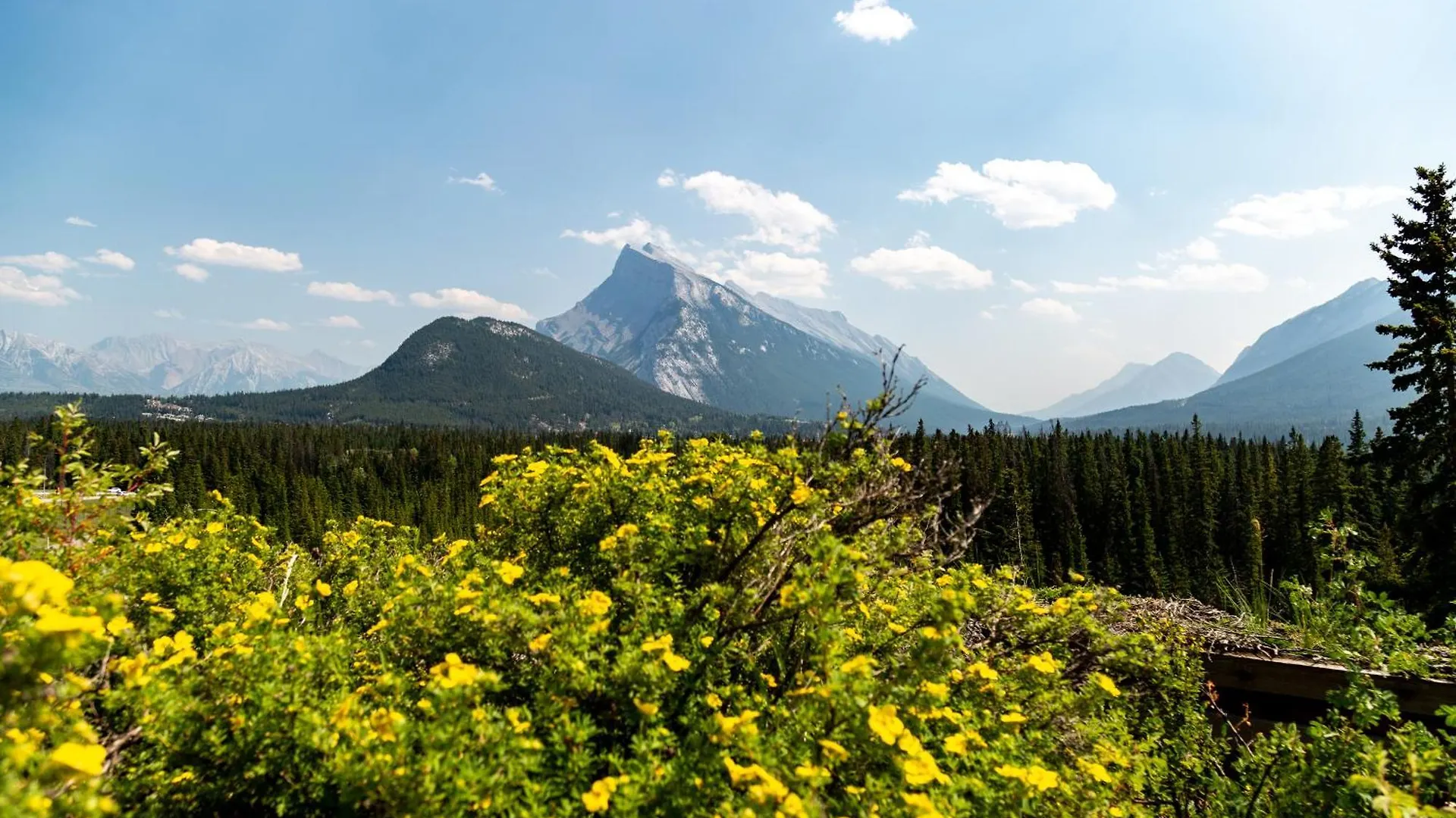 The Juniper Hotel & Bistro Banff