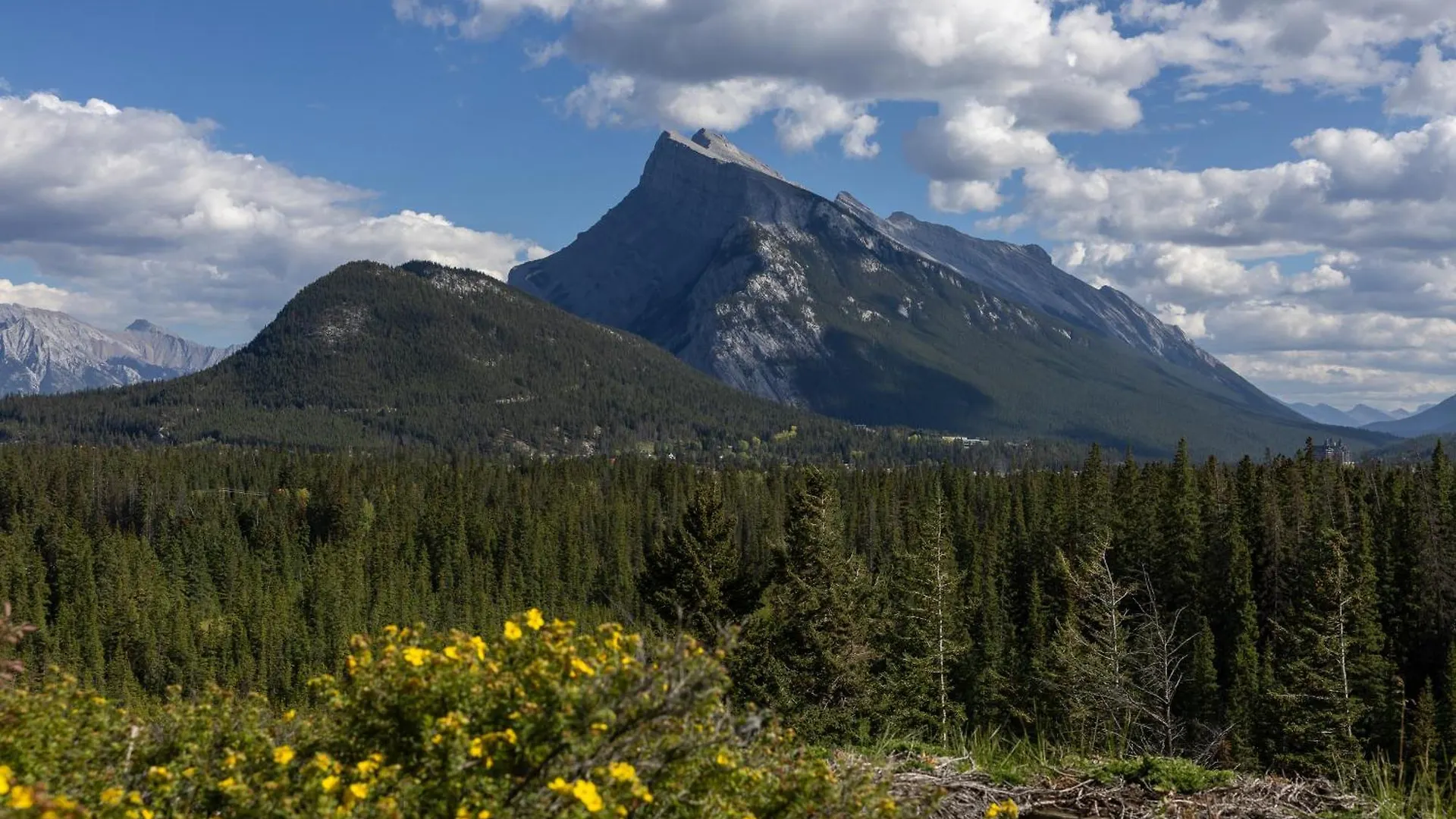 The Juniper Hotel & Bistro Banff
