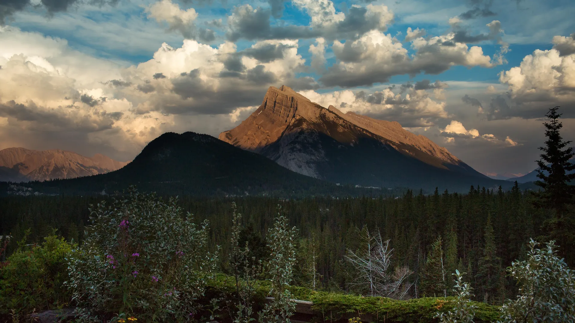 The Juniper Hotel & Bistro Banff